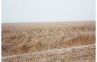 Property photo 54 - Kansas Land Auction - 960 Acres - 7 Farms in 3 Counties